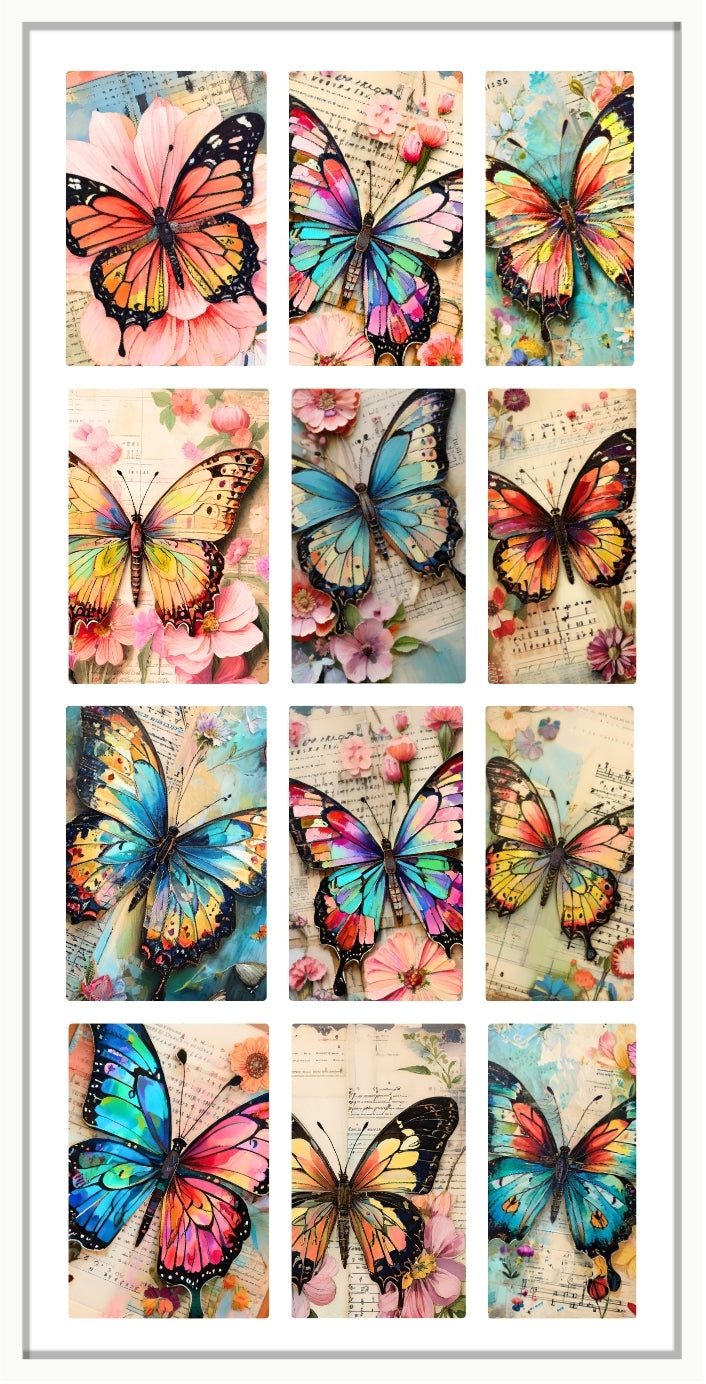 BUTTERFLIES AND BALLADS