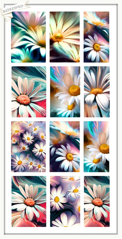 Daisy Daisy