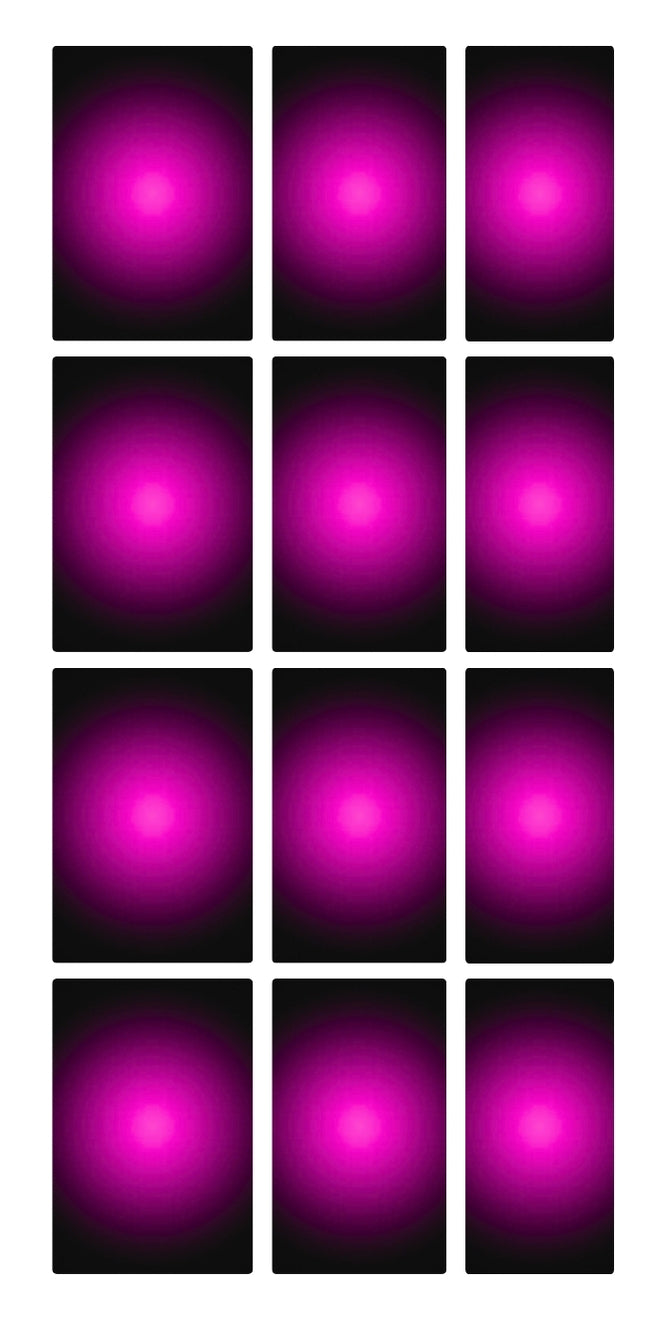 fuchsia radial